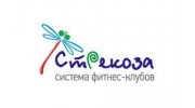 фитнес-клуб Стрекоза